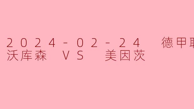 2024-02-24 德甲联赛 勒沃库森 VS 美因茨